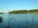 Jezioro Wojnowskie, fot. W. Zięba